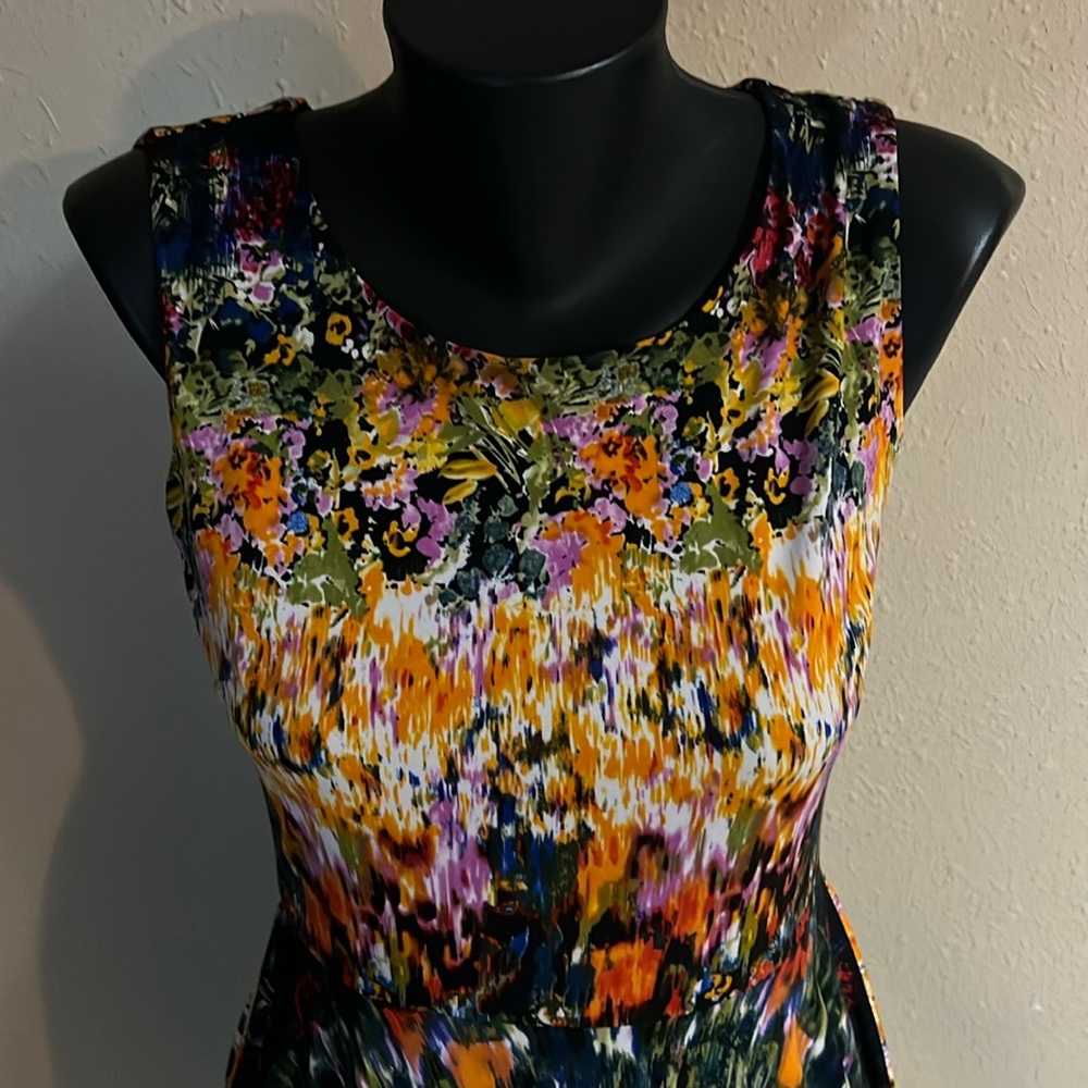 Cynthia Rowley Dress 8